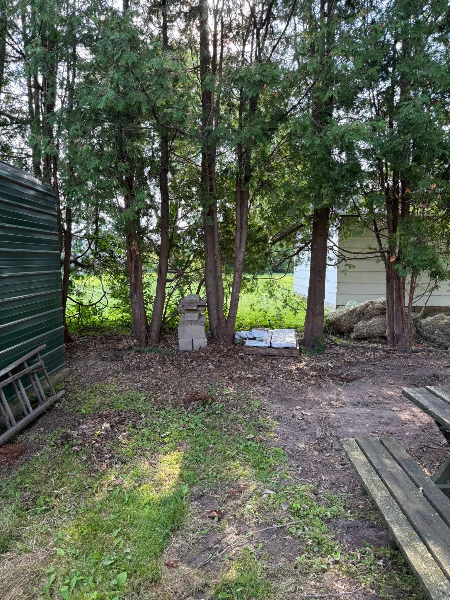A backyard scene features a green shed on the left, trees in the center, and a wooden picnic bench on the right.