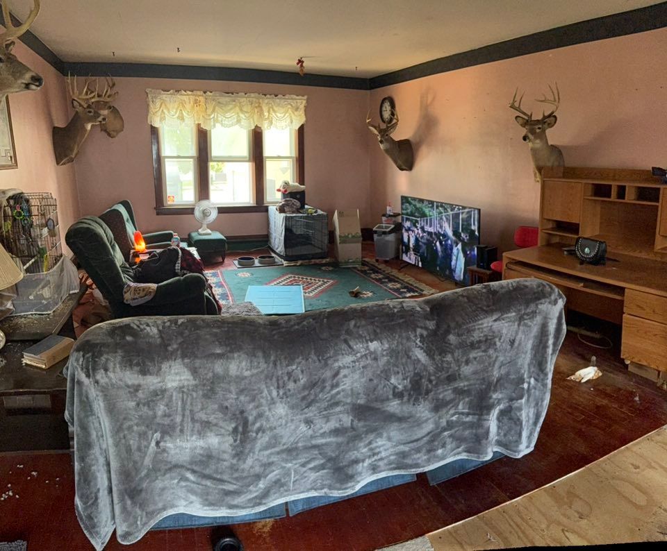 A living room with pink walls, dark trim, a grey sofa, recliner, television, and multiple deer head mounts on the walls.