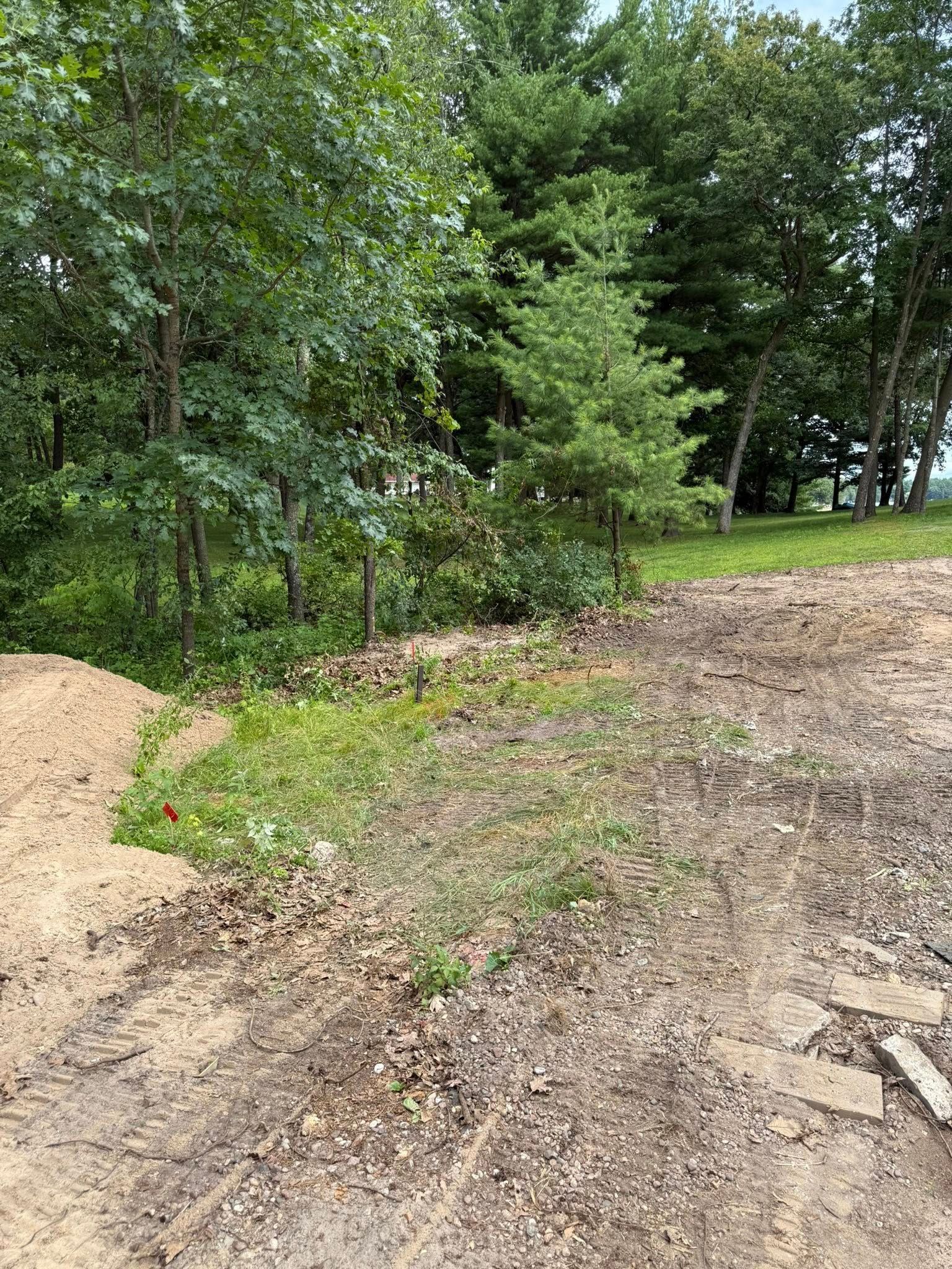 A view of a dirt clearing meeting a line of green trees and tall grass on a bright, sunny day.