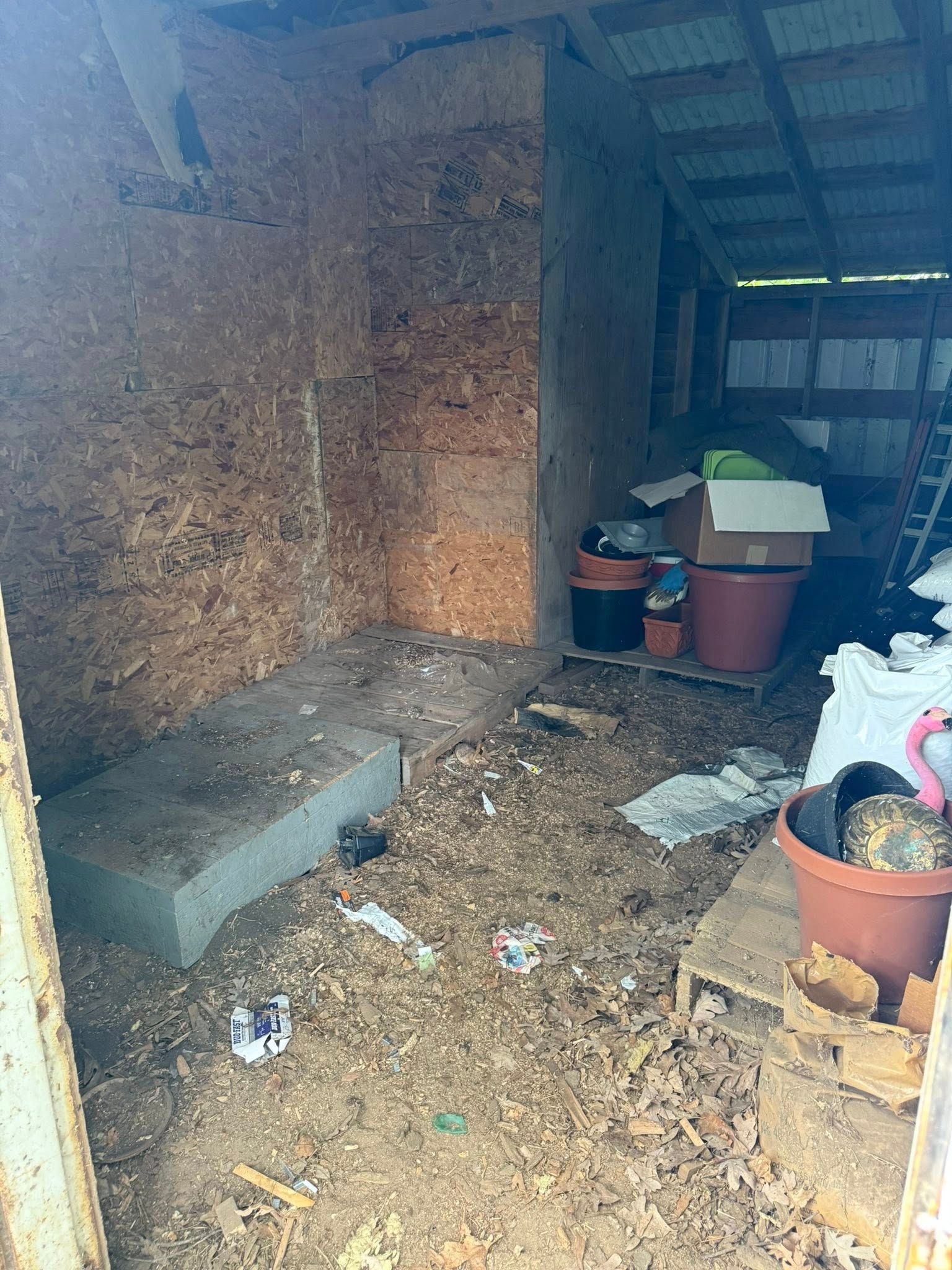 The interior of a cluttered wooden shed with wood-paneled walls, filled with various containers and scattered debris.