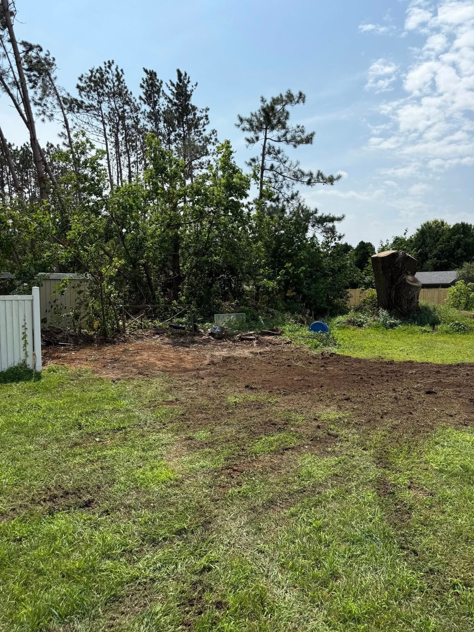 A sunny outdoor scene featuring a patch of freshly tilled dark soil in the foreground, bordered by grass and trees.