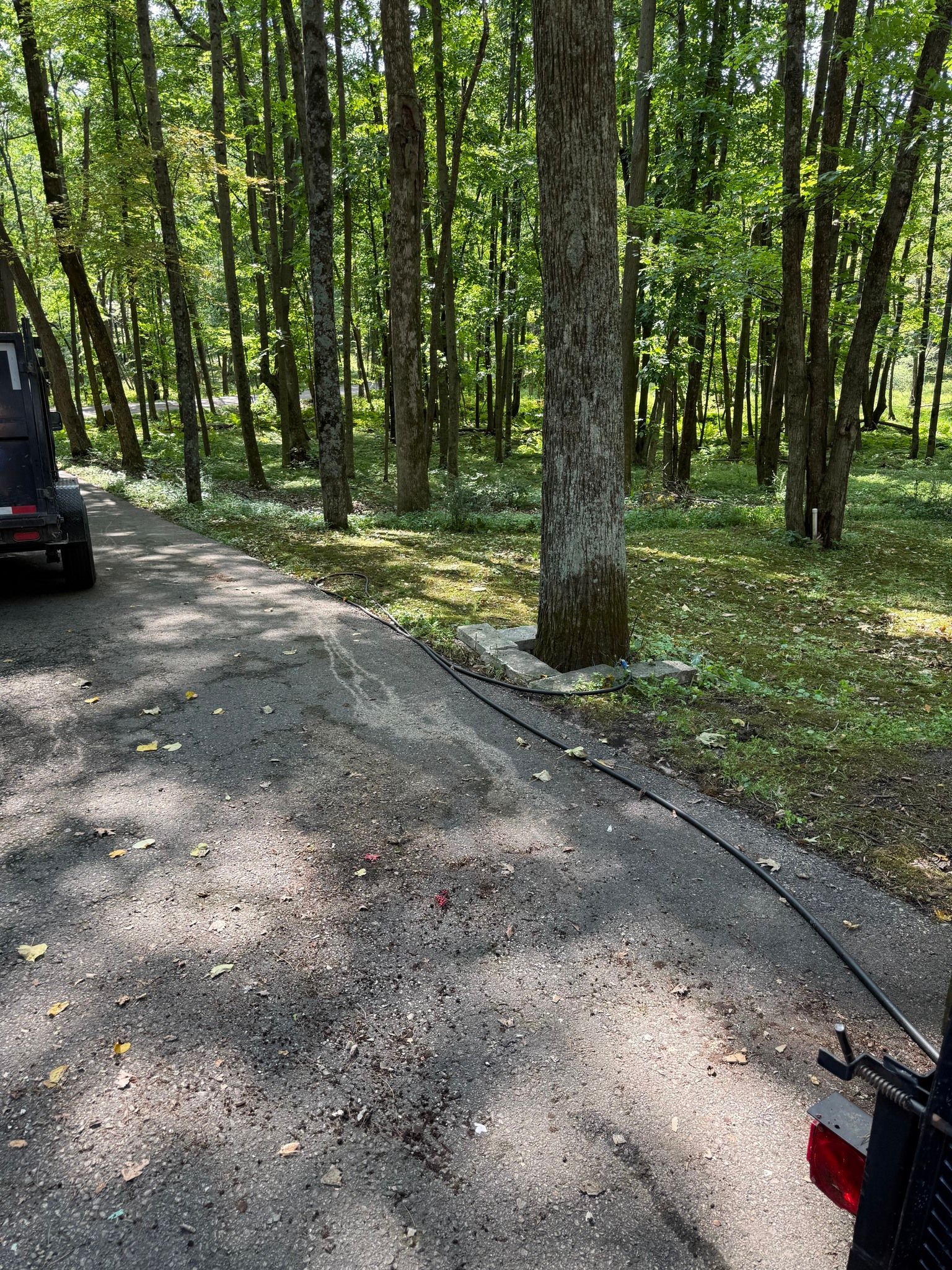 A gravel path stretches into a sunlit forest, with a portion of a trailer and a black cable visible in the foreground.