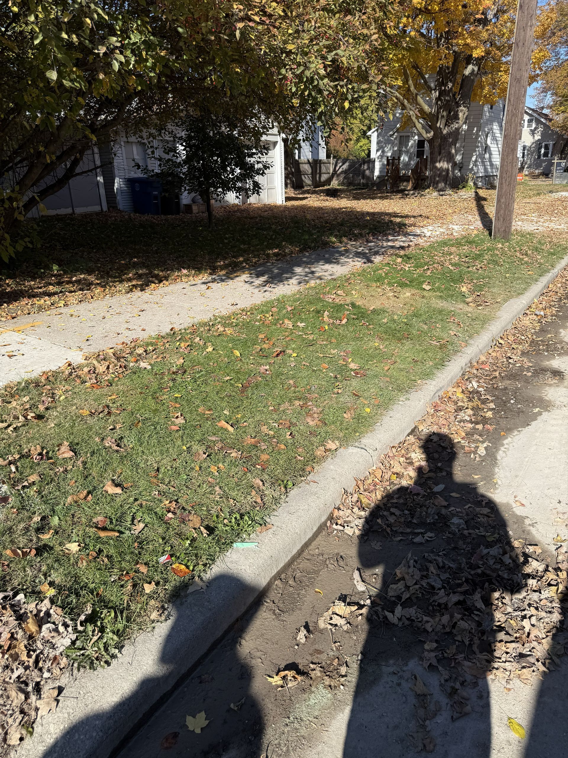 A street-level view of a sidewalk next to a grassy curb with fallen leaves and the long shadow of a person in the sun.
