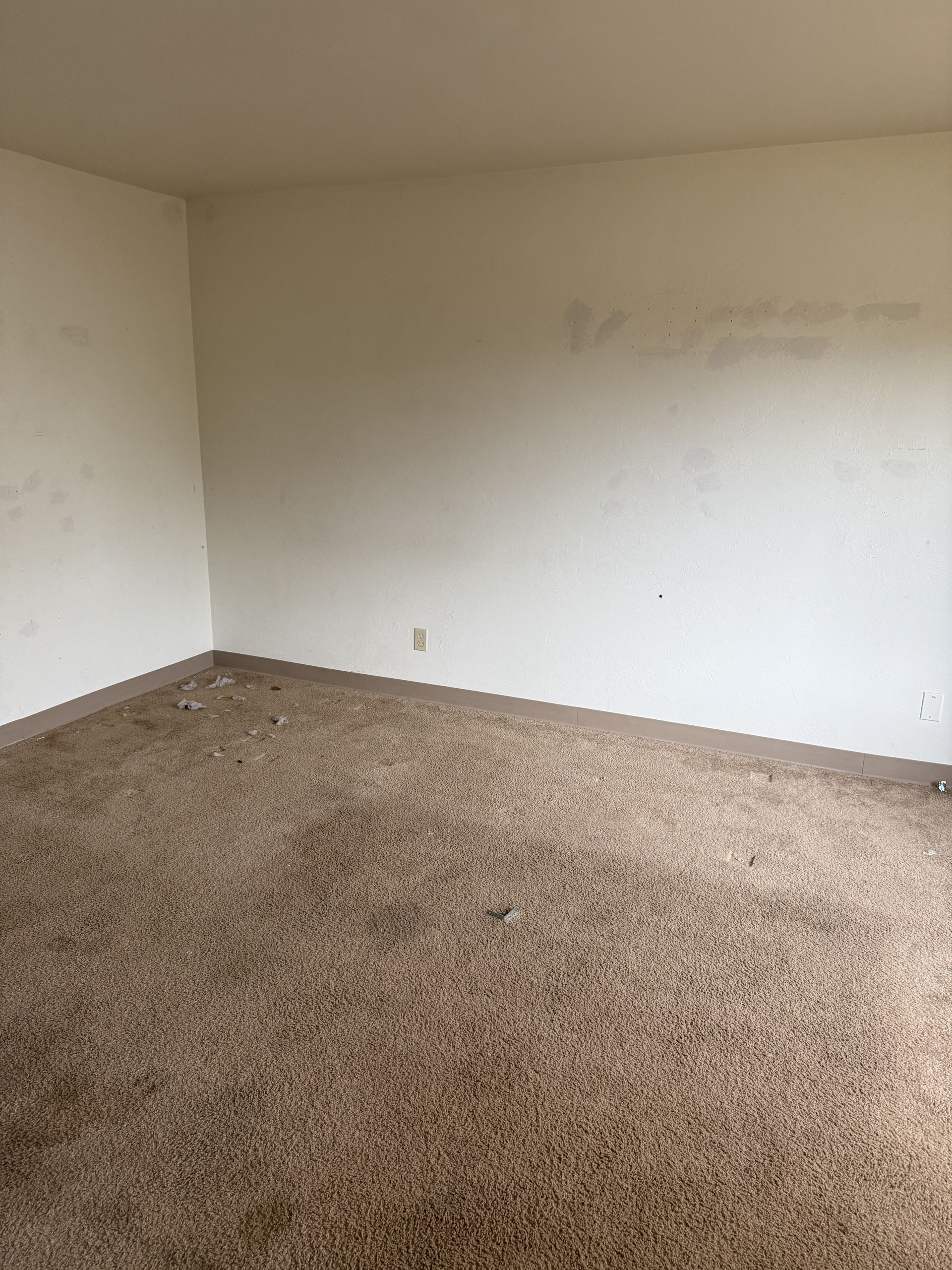 An empty room with beige walls and textured tan carpet, showing signs of wear and minor scuff marks on the wall.