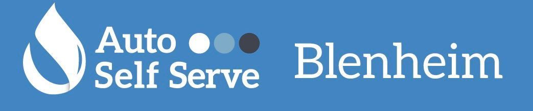 Auto Self Serve Logo