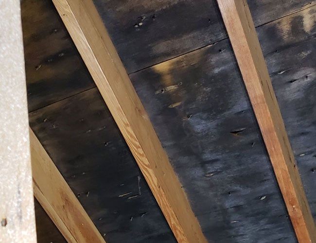 Old Ceiling Molds