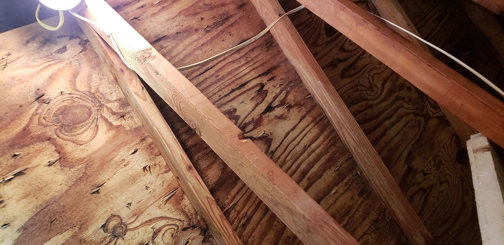 House Ceiling