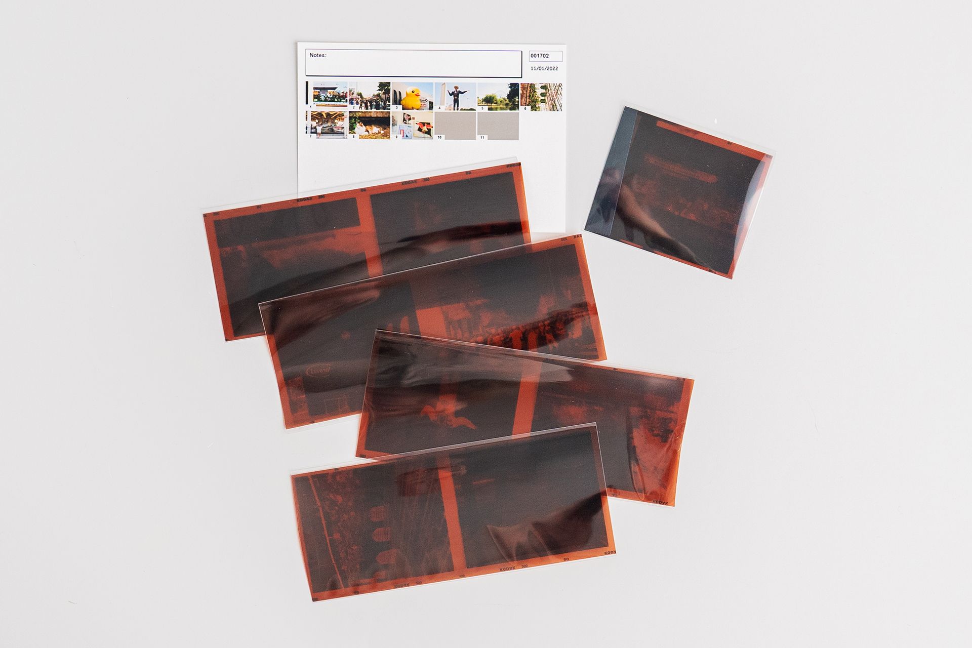 med-format negs