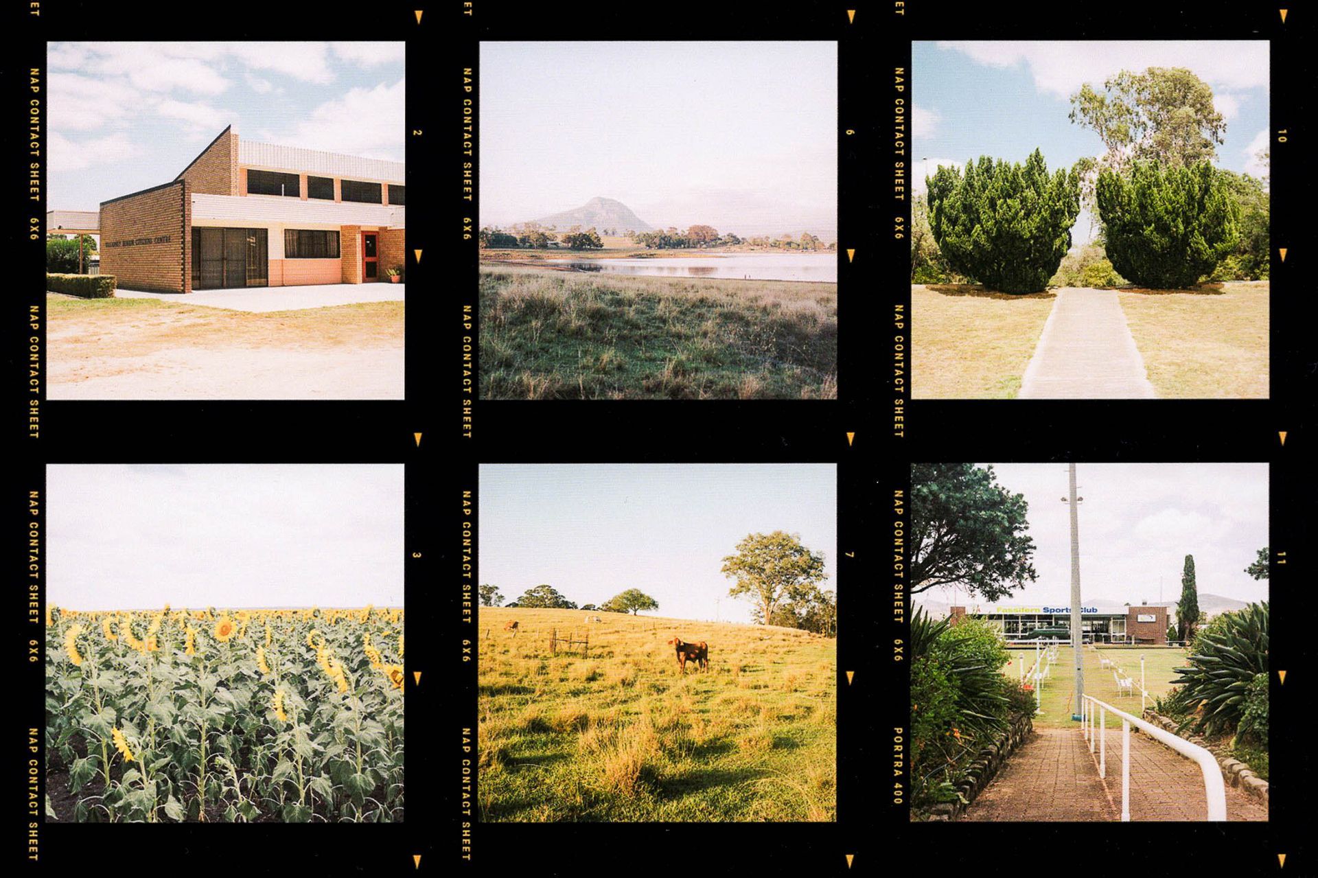contact sheet frames