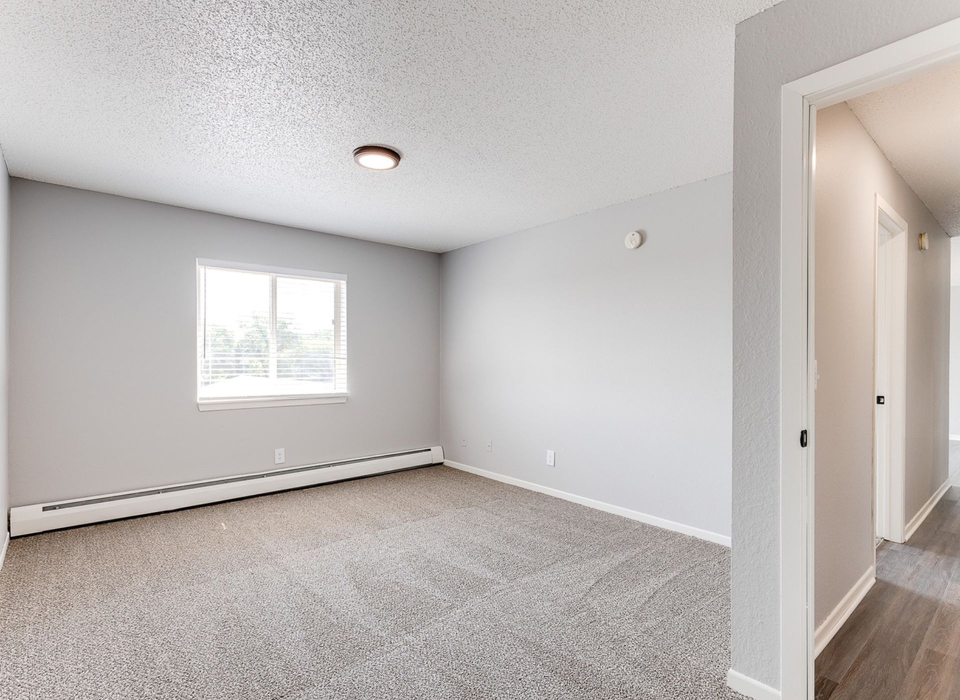 Empty apartment living room with light gray walls, carpet, a window, and baseboard heat.