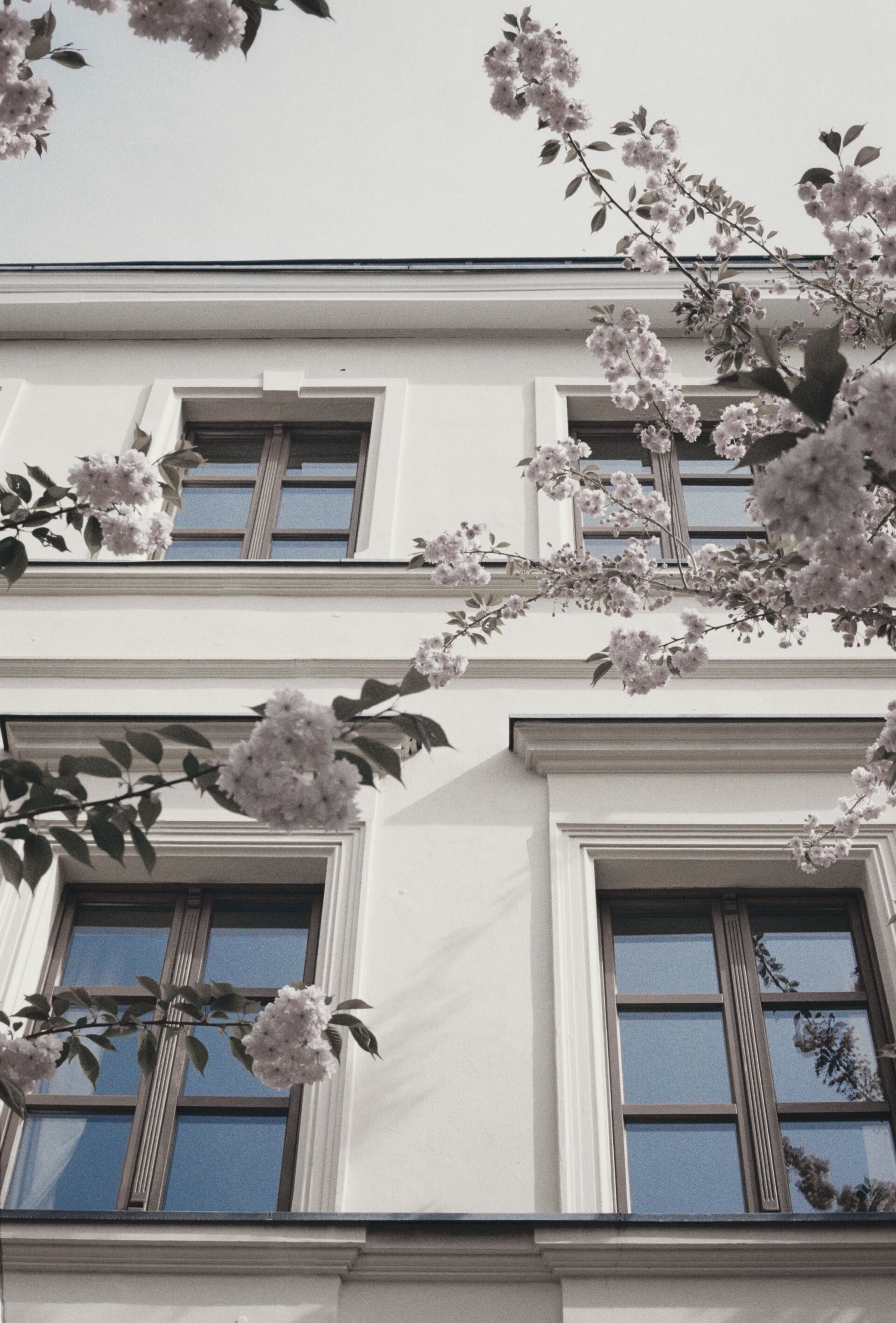 Maklerrecht | Immobilienrecht München