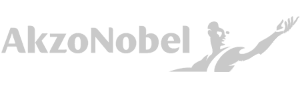 AkzoNobel logo in gray with a stylized figure and brushstroke design