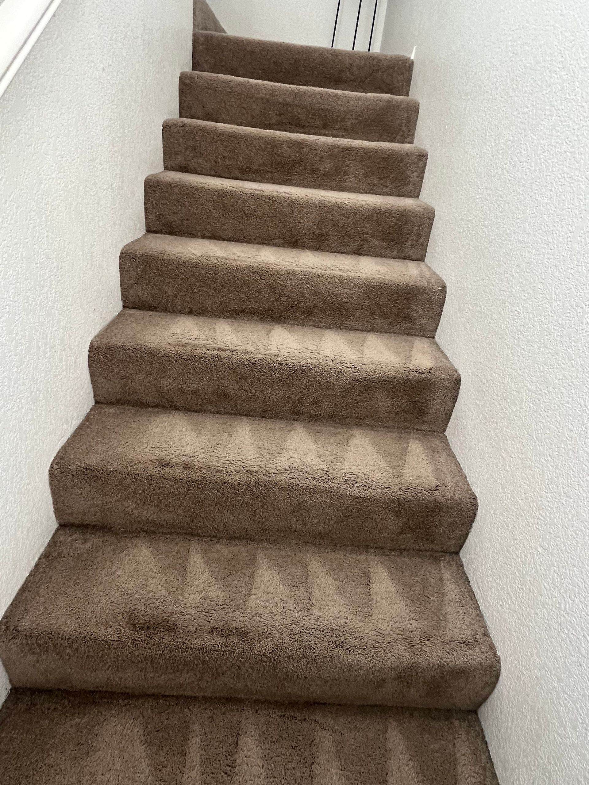 A row of carpeted stairs leading up to a white wall. carpet cleaning services