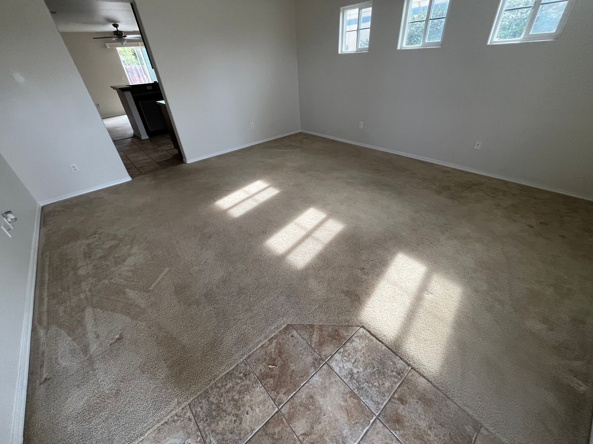 A living room with a carpet cleaning services floor and tile floor.