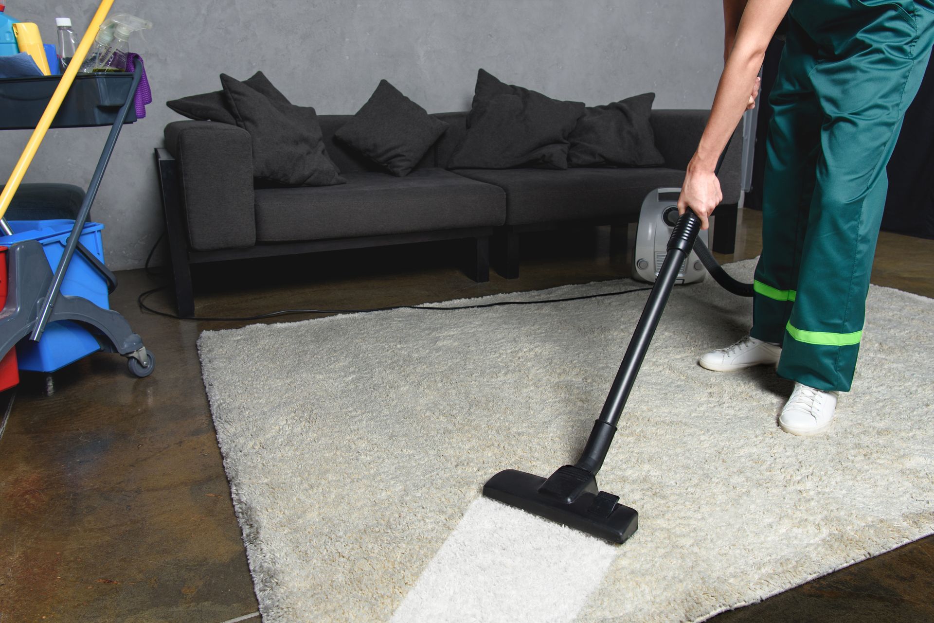 A person is vacuuming a carpet and rug cleaning in a living room.