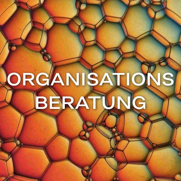Organisationsberatung