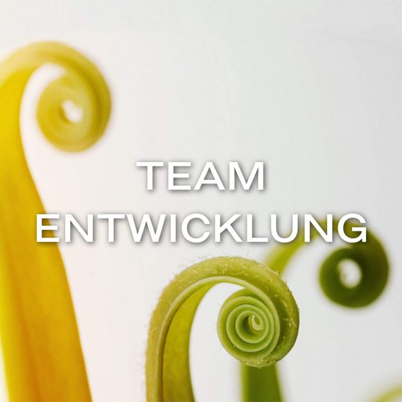 Teamentwicklung