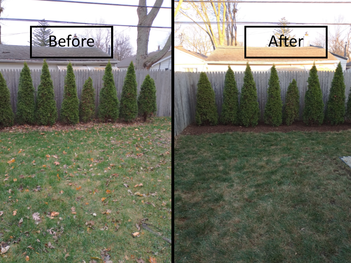 Side-by-side yard comparison labeled before and after, showing a greener, more manicured lawn and shrubs.