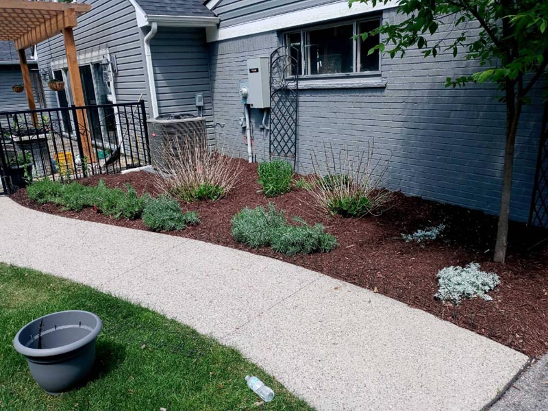 Curved concrete walkway beside gray house, with mulched shrub bed and green lawn