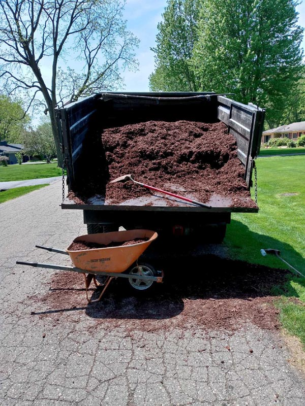 Dumpster full of mulch spilling onto a driveway, with a wheelbarrow in front of it.