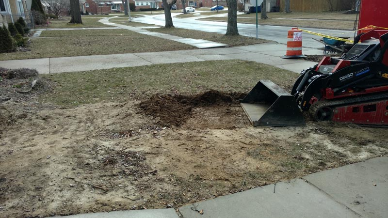 A skid steer digs a patch of dirt beside a sidewalk in a park-like area with orange construction cones.