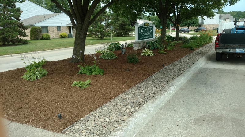 Mulched landscaping bed with small shrubs beside a driveway and parked car in a suburban neighborhood