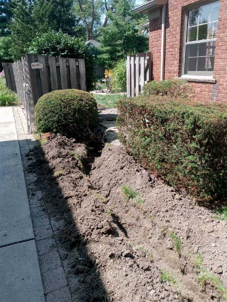 Narrow mulch bed beside a brick house with trimmed shrubs, a sidewalk, and a wooden fence in sunlight