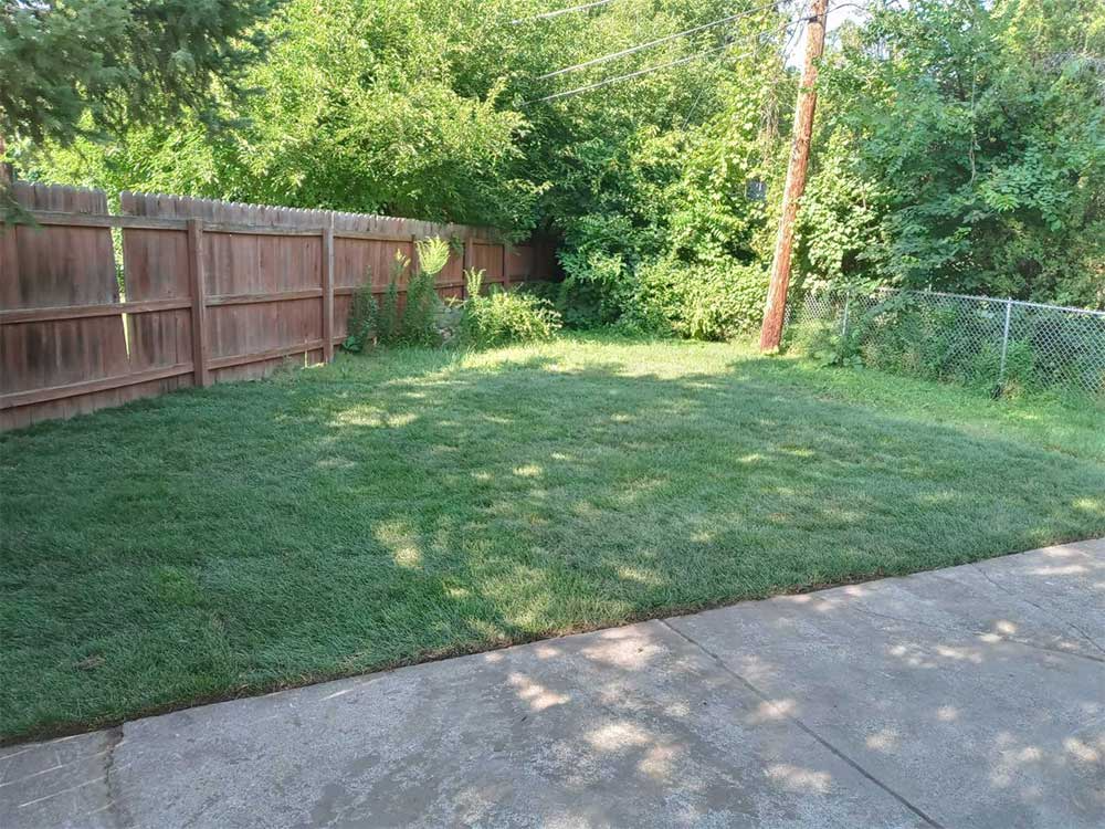 Backyard with a mowed grassy lawn, wooden fence, trees, and a concrete driveway edge
