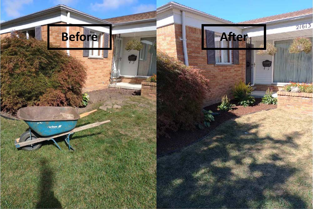 Before-and-after view of a house front yard with lawn, shrubs, and a wheelbarrow moved aside to show landscaping changes