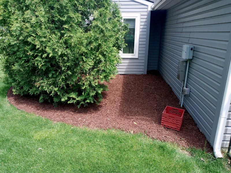 Side yard with a large shrub, red mulch, gray house siding, and a red basket near the wall.