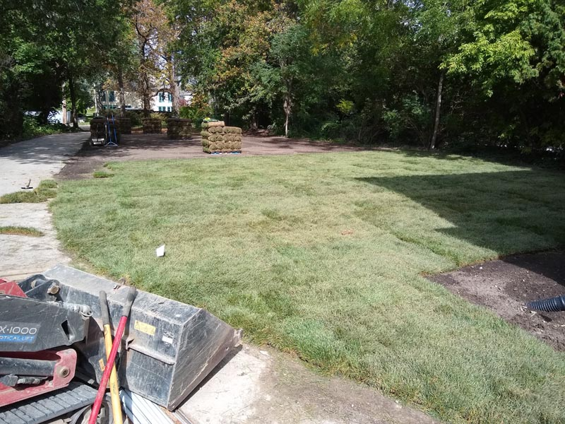 Grassy yard with a small tree stump and trees lining the back, beside a driveway with landscaping debris.