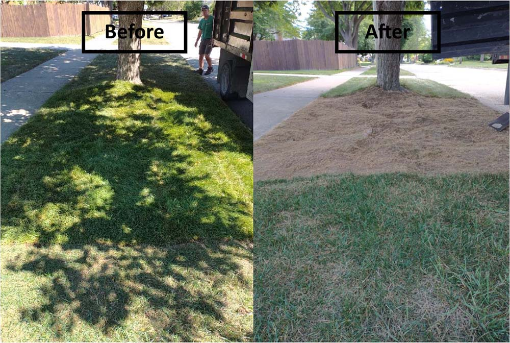 Split image showing a grassy roadside before and after: left green grass, right bare dirt area.