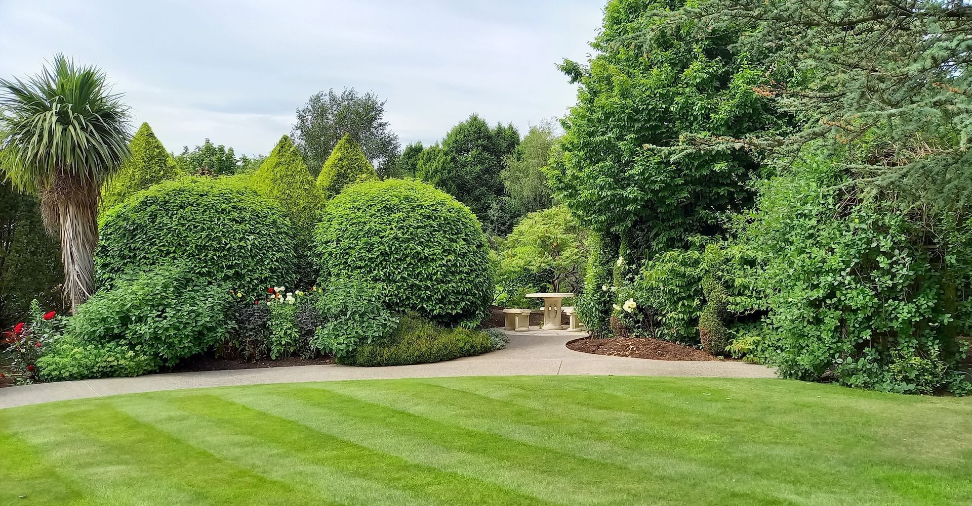 Lush green garden lawn with shrubs and a stone path under bright daylight