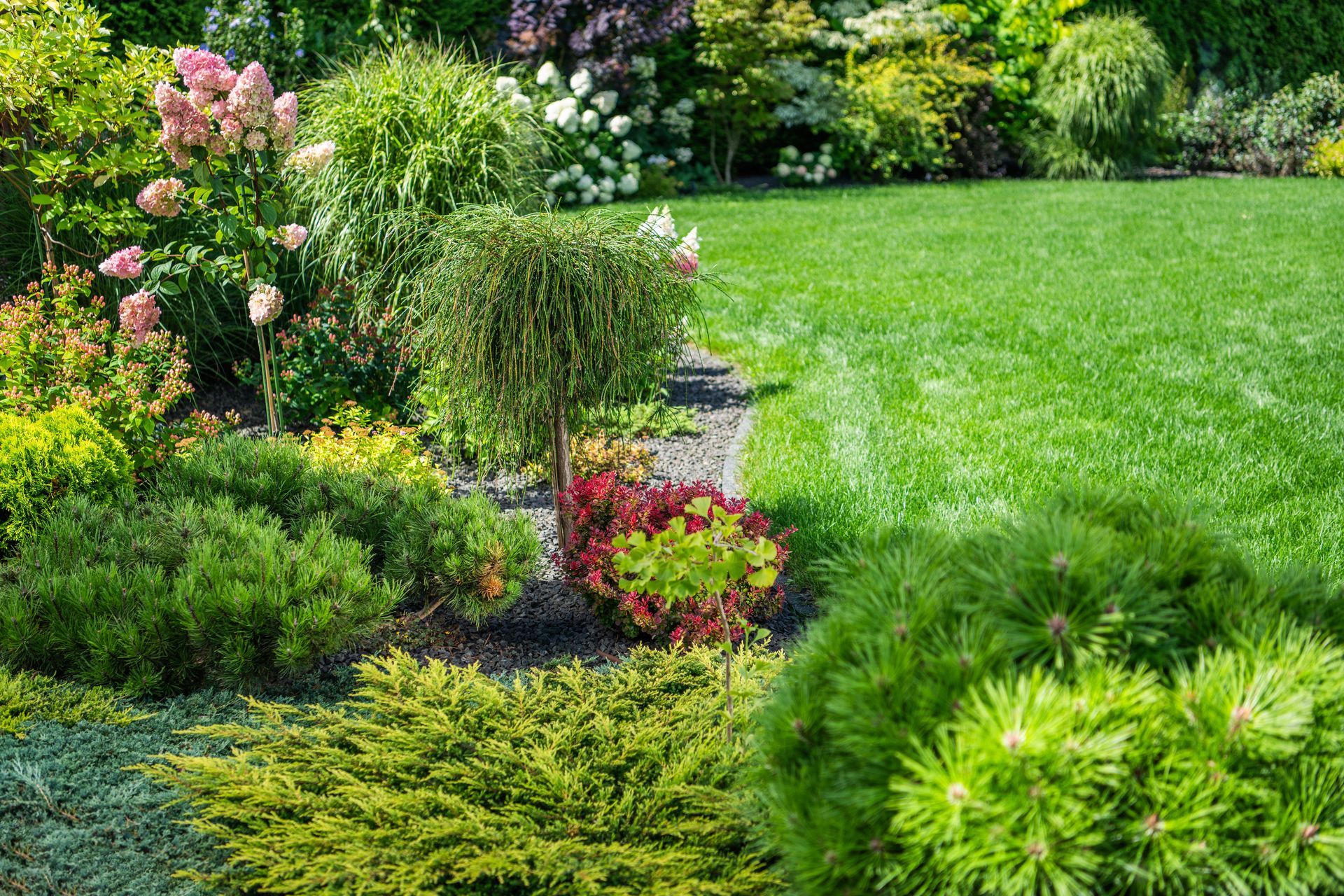 Lush garden bed with pink flowers, shrubs, and bright green lawn in sunlight
