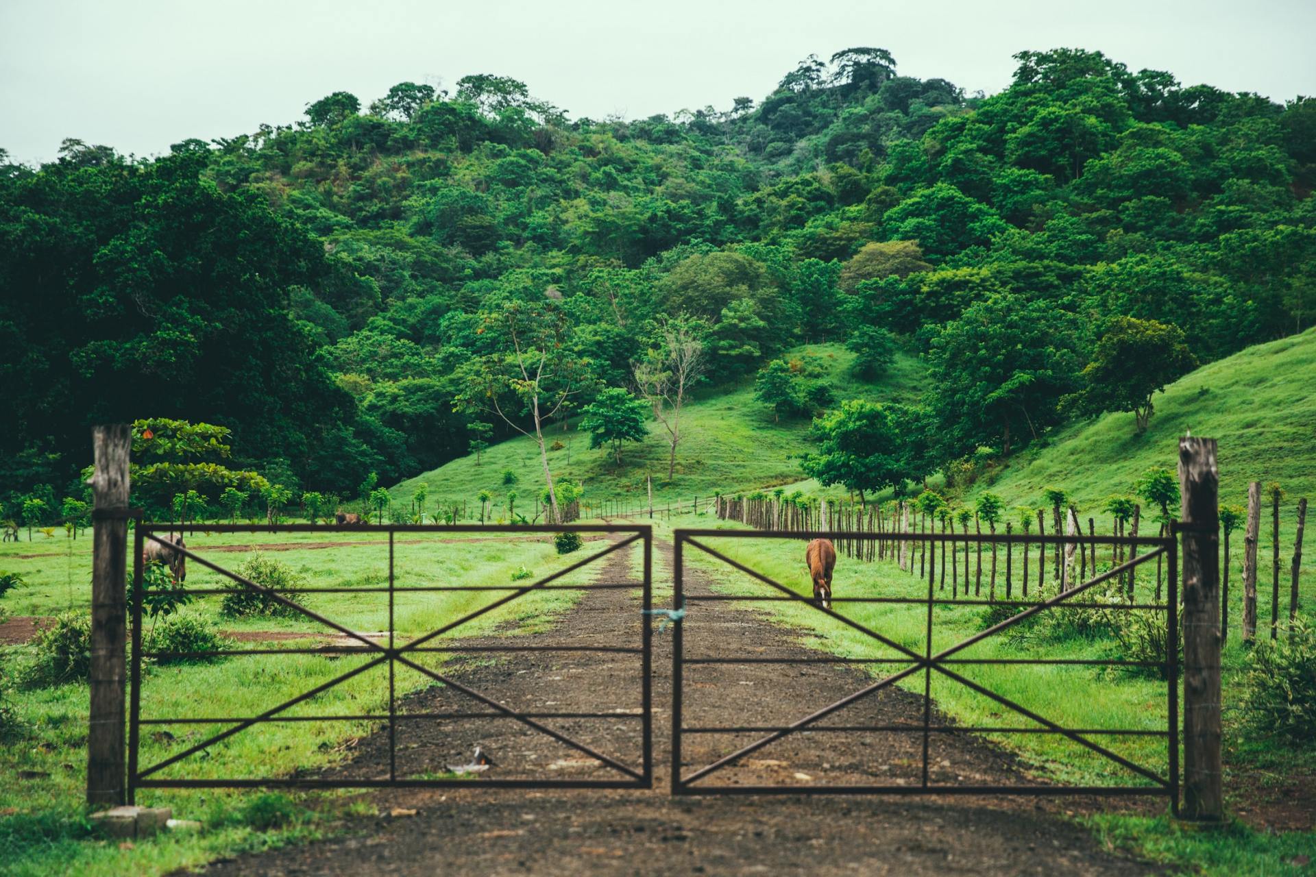  custom built acreage gate