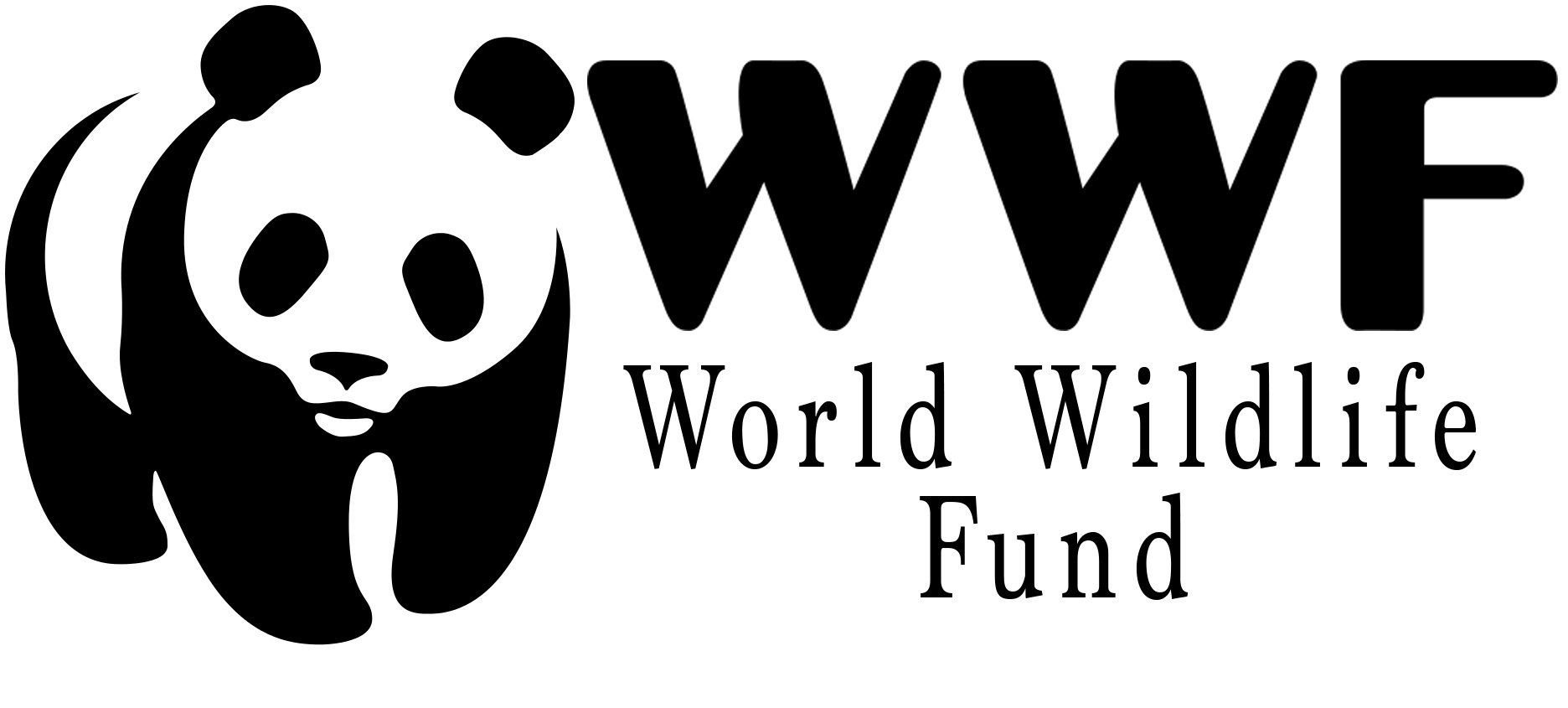 CLICK to learn more