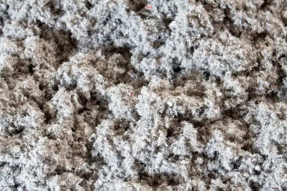 Cellulose Insulation in Boulder, CO