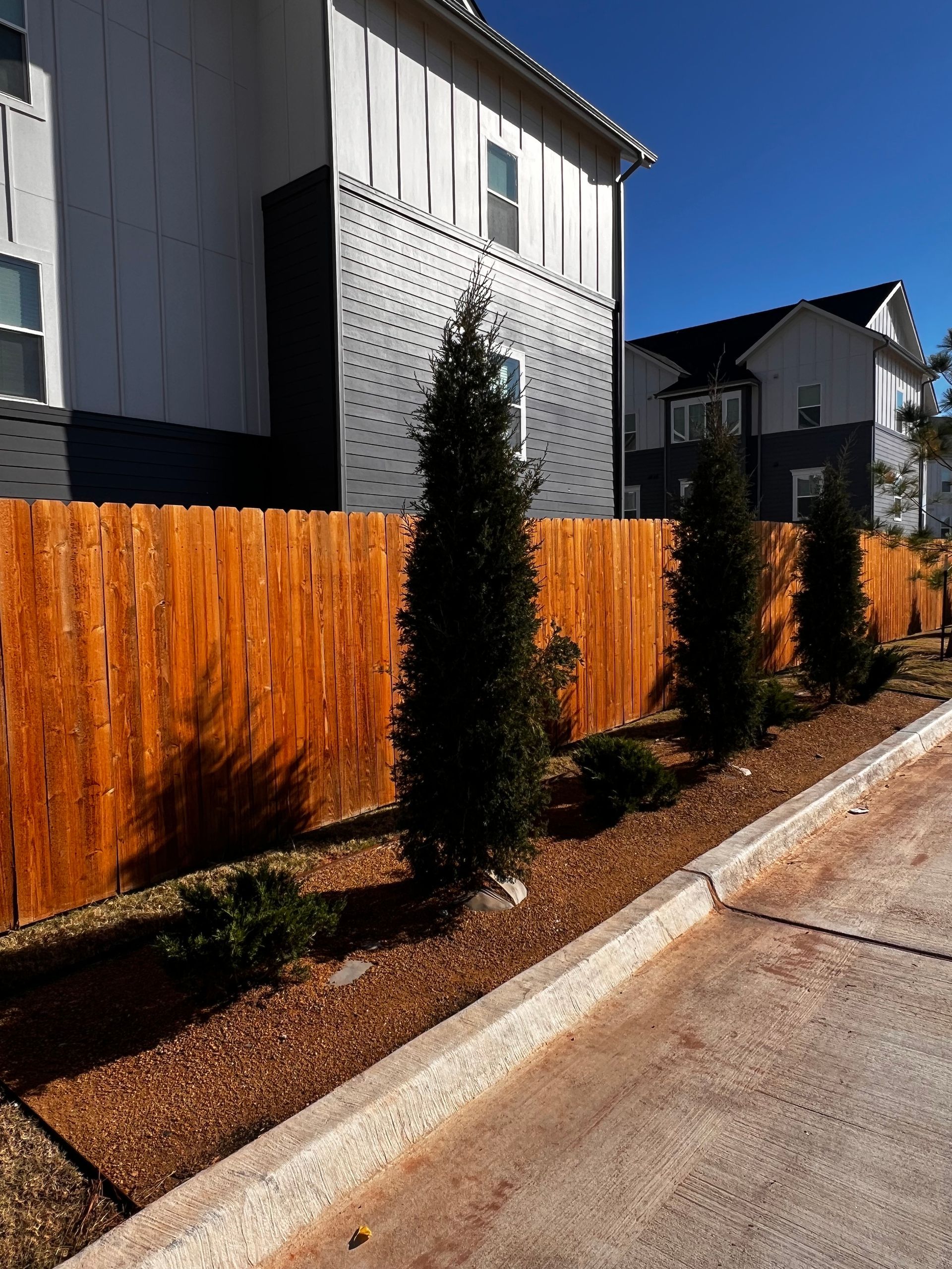 Residential sidewalk with orange fence, young evergreen shrubs, and white houses under a blue sky