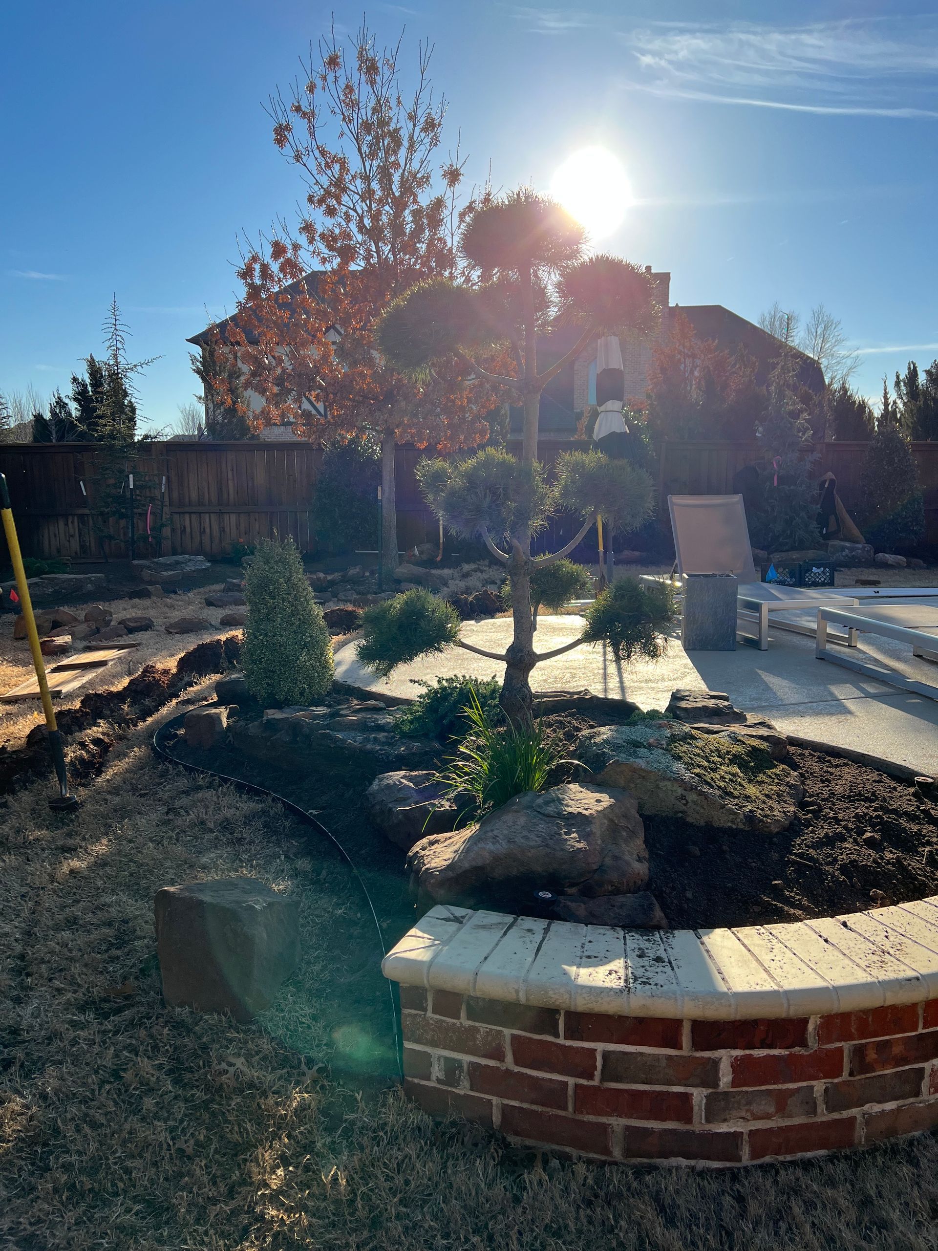 Backyard garden with a young tree, brick planter wall, and bright sun flare over a patio area