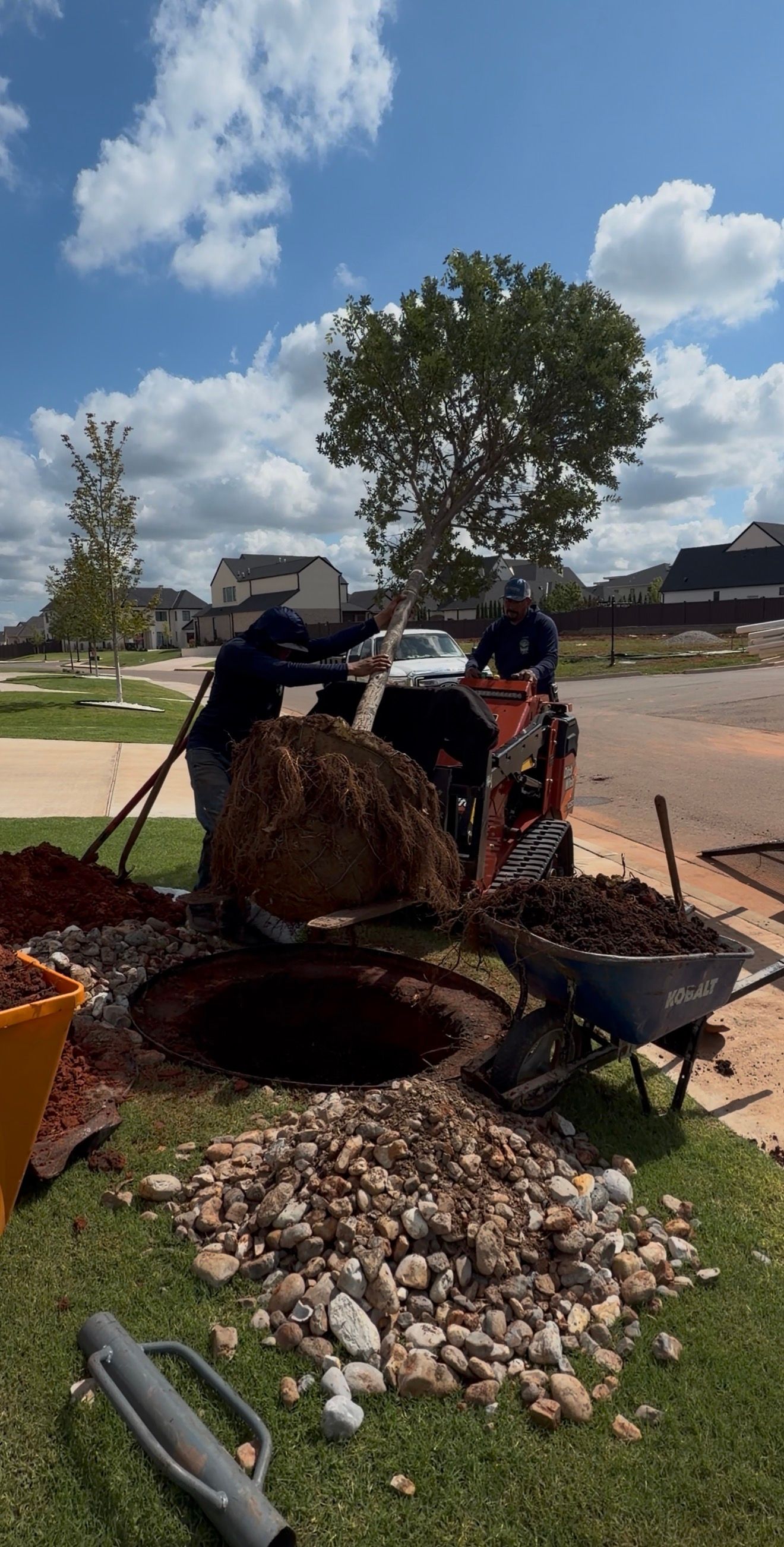 Garden tree planting scene with workers, shovels, and a wheelbarrow beside a newly planted tree stump