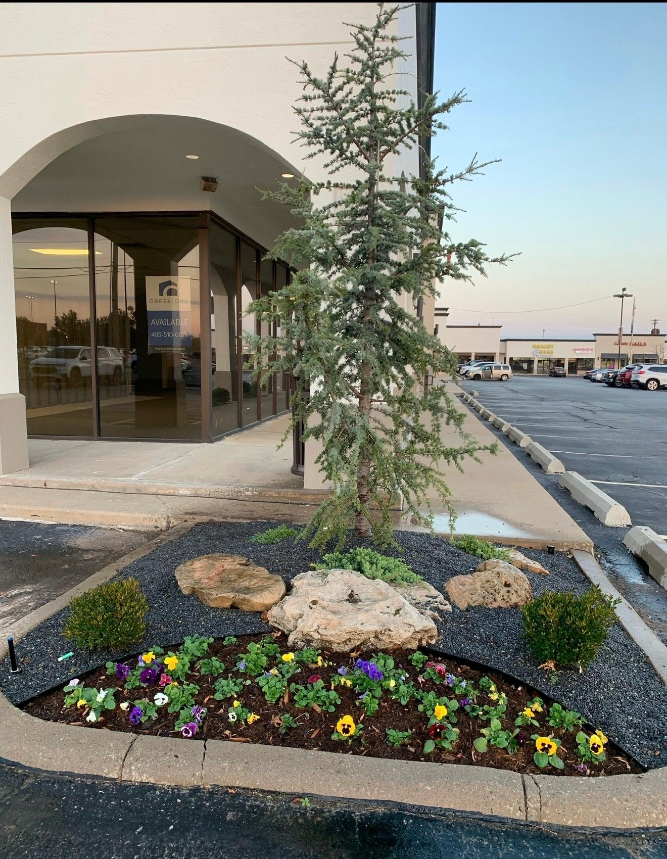 Landscaped strip with flowers, rocks, and a young tree beside a storefront and parking lot.