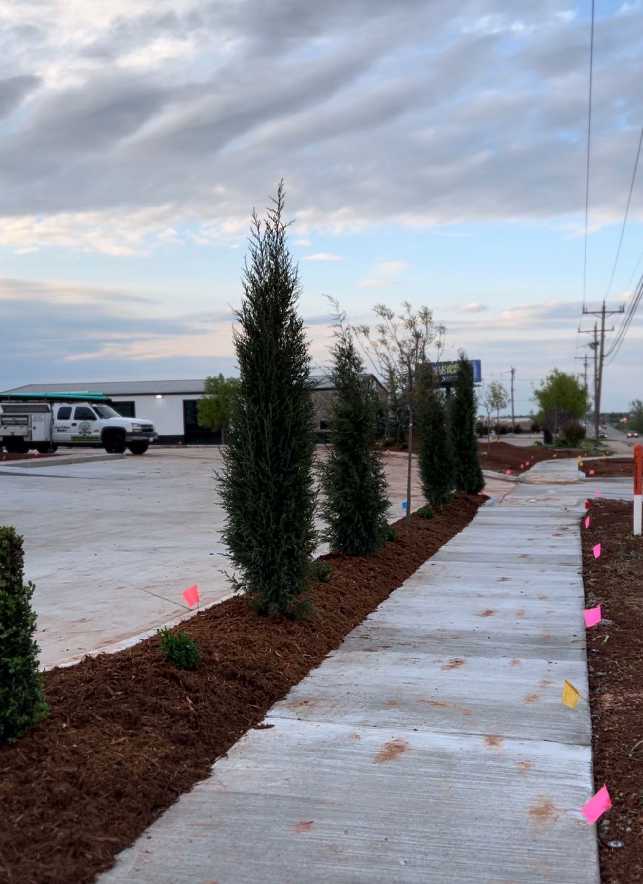 Sidewalk beside a mulched planting strip with tall evergreens and a parking lot under a cloudy sky.