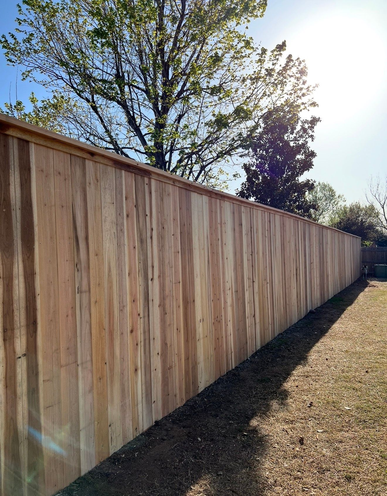 Long wooden privacy fence beside a grassy yard with trees overhead and sunlight casting shadows.