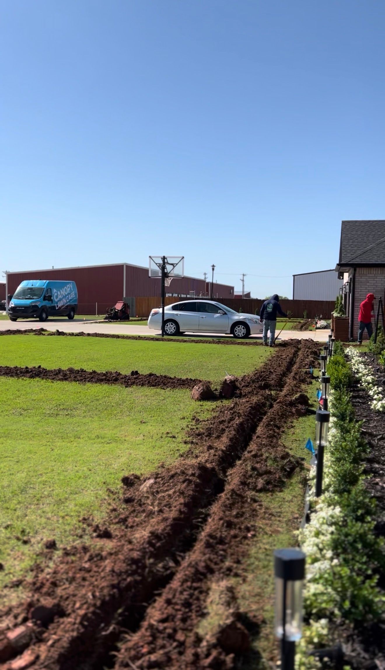Sunny lawn with a blue van and silver car near a building, bordered by a flower bed and hedge