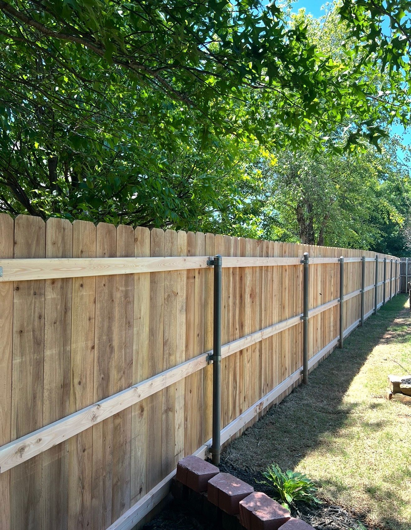 Wooden privacy fence along a grassy yard under leafy green trees on a sunny day