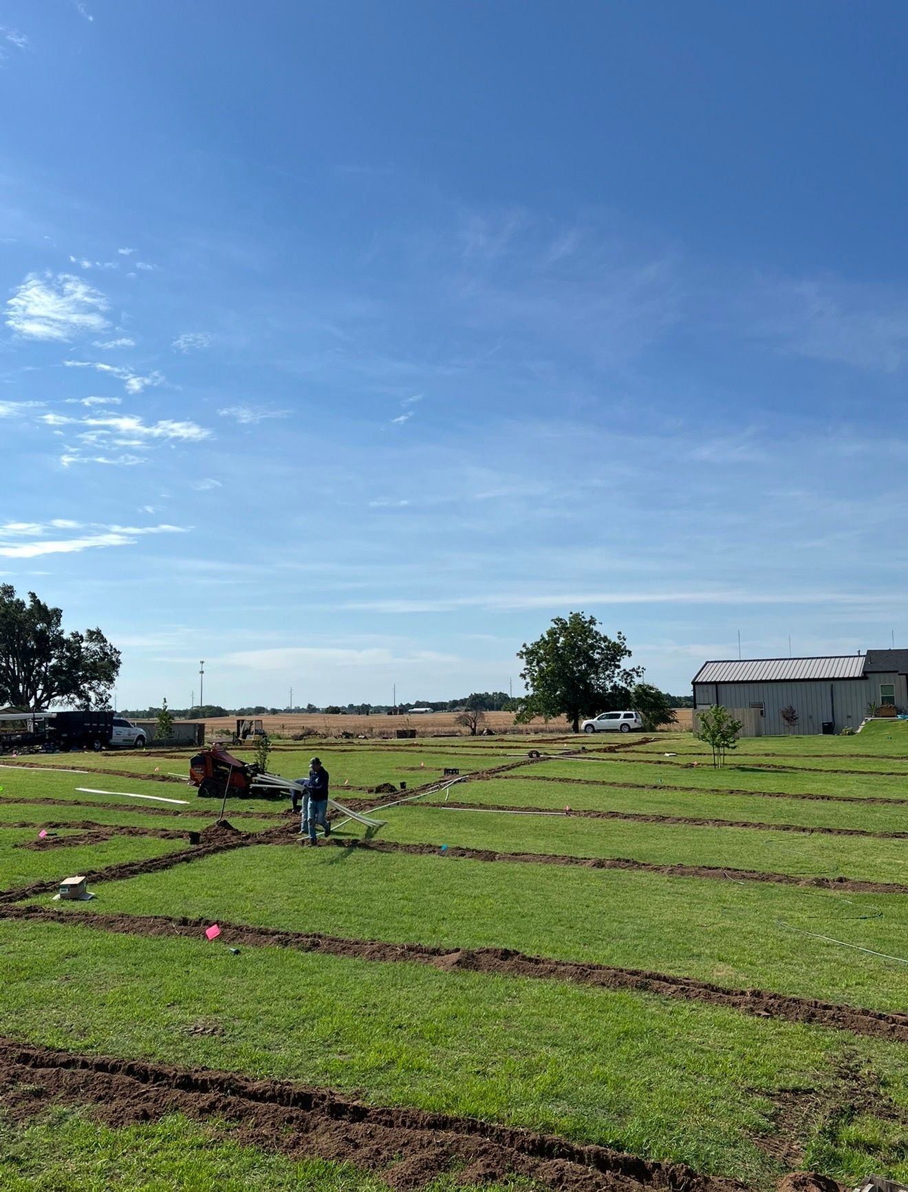 Rows of green crops in a sunny farm field with a few workers and a shed under a clear blue sky
