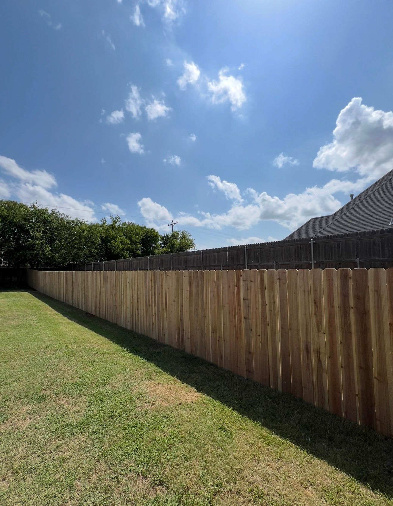 Backyard with wooden fence, green lawn, hedge, and bright blue sky with clouds