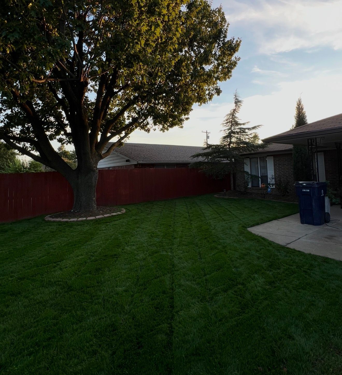 Backyard with a large tree, green lawn, red fence, and patio beside a house