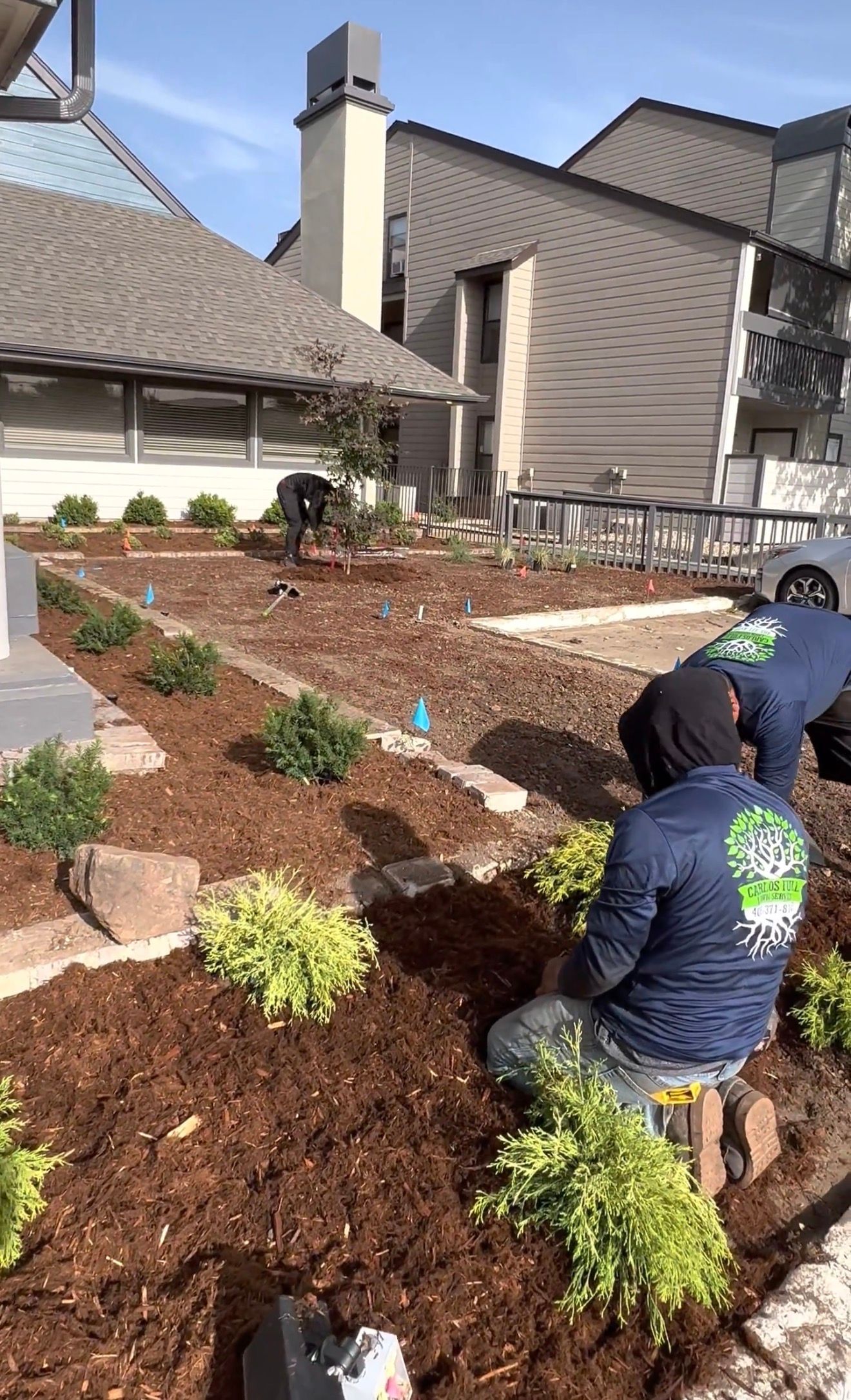People landscaping a sloped garden with mulch and shrubs beside a house