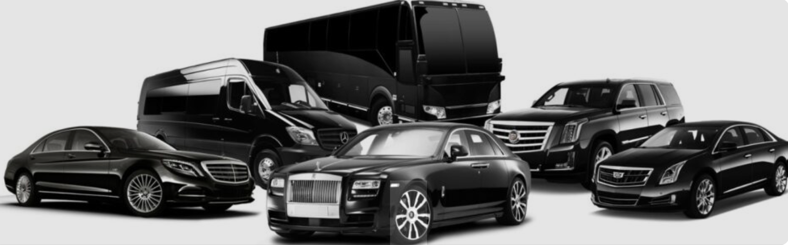 Limousine fleet